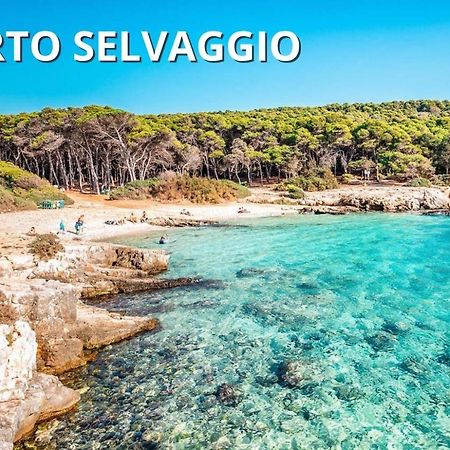 Casa Smeraldo al Mare a Sud di Porto Cesareo Torre Inserraglio Exterior foto